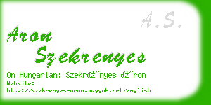 aron szekrenyes business card